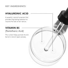 Load image into Gallery viewer, SkinCeuticals - Hydrating B5 Gel