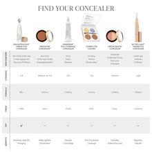 Load image into Gallery viewer, Jane Iredale - Disappear™ Full Coverage Concealer
